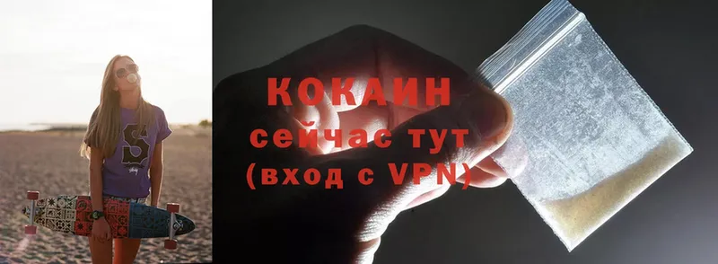 darknet наркотические препараты  купить закладку  Богородицк  COCAIN VHQ 