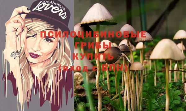 ПСИЛОЦИБИНОВЫЕ ГРИБЫ Аркадак