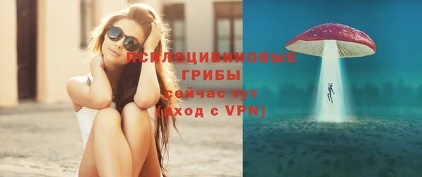 мяу мяу мука Арсеньев