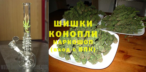 ПСИЛОЦИБИНОВЫЕ ГРИБЫ Аркадак