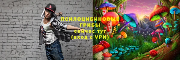 ПСИЛОЦИБИНОВЫЕ ГРИБЫ Аркадак