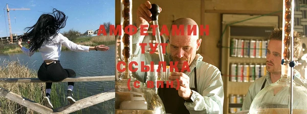 ПСИЛОЦИБИНОВЫЕ ГРИБЫ Аркадак