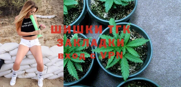 ПСИЛОЦИБИНОВЫЕ ГРИБЫ Аркадак