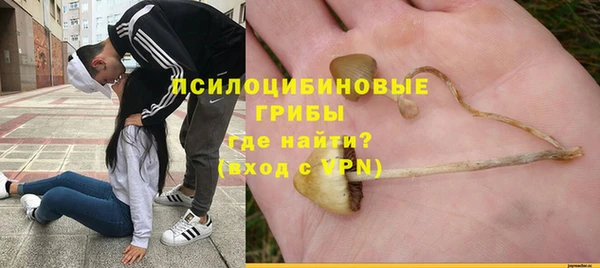 ПСИЛОЦИБИНОВЫЕ ГРИБЫ Аркадак
