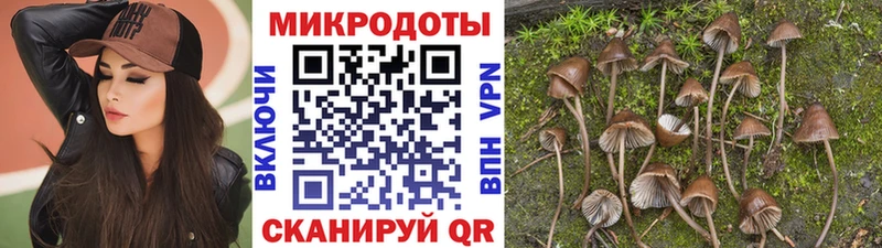 наркошоп  Богородицк  Галлюциногенные грибы Psilocybe 