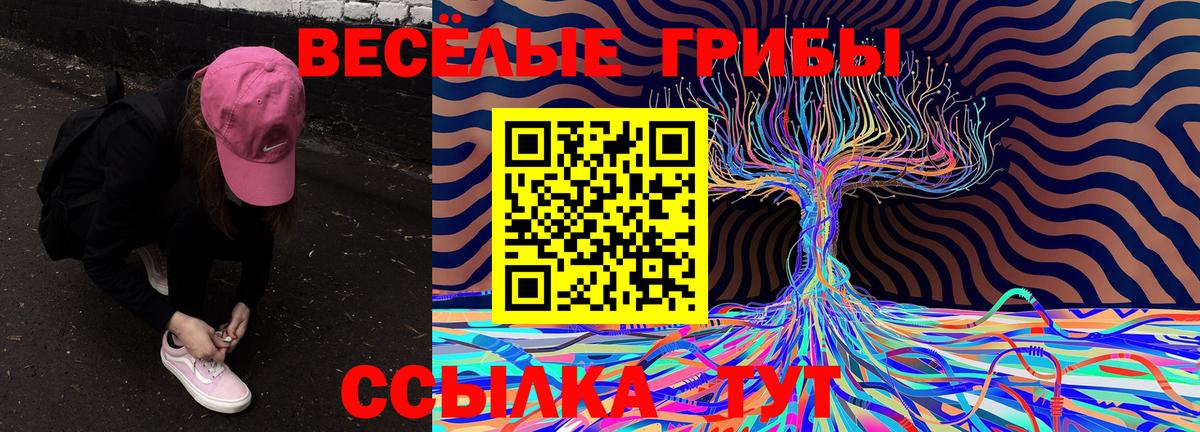 Псилоцибиновые грибы Magic Shrooms  Вход с VPN  Богородицк 