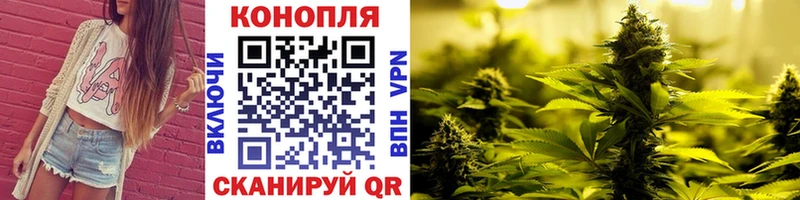 где купить   Богородицк  mega как зайти  Бошки Шишки индика 
